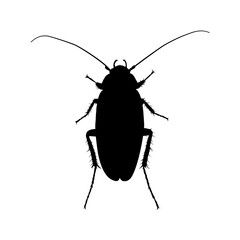 cockroach silhouette – vector illustration