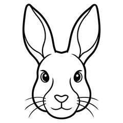 vector illustration of a bunny