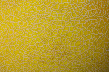 Macro melon peel texture,texture of yellow melon peel. Design Idea,Close up texture of melon skin.