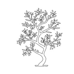 Obraz premium Stylized botanical representation of a tree form on a pure white backdrop