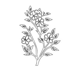 Elegant floral sketch depicting blossoming branches with delicate flower clusters