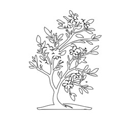 Delicate Flowering Tree Illustration with Elegant Lines on White Background