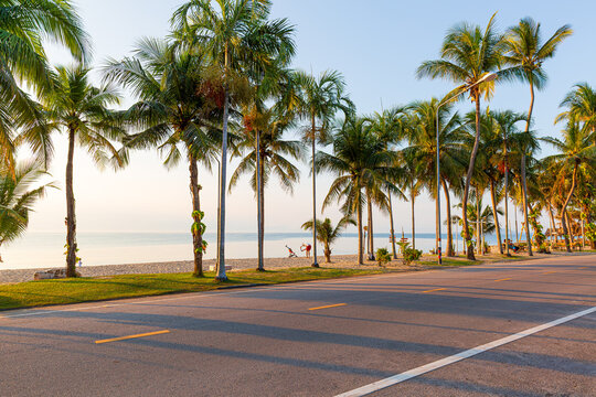 Beach road and coconut trees along the tropical seaside,Beautiful beach road in Thailand