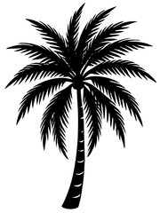 Obraz premium Silhouette of a Tropical Palm Tree Isolated on White Background
