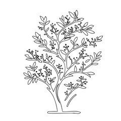 Minimalist tree illustration featuring berries and delicate leaves, on white background