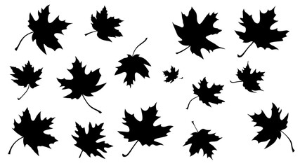 set of maple leaves silhouette vector on white background