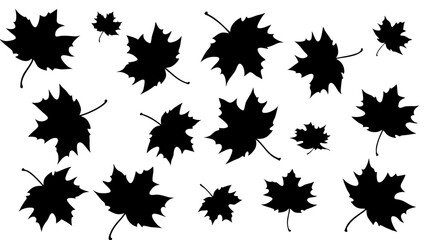 set of maple leaves silhouette vector on white background