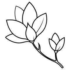 Grace in Bloom: Elegant Outline of a Magnolia Branch