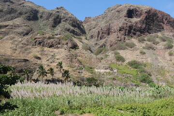 Tropische Landwirtschaft mit Zuckerrohr in Ribeira Grande auf Santo Antão Kap Verde