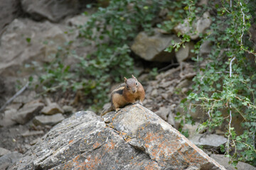 Hanging Lake