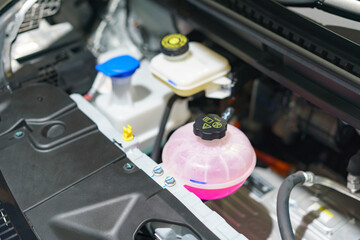 Close-Up of Coolant and Fluid Reservoirs in Modern Electric Car