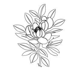 Elegant Line Art Depiction of a Floral Cluster with Blooming Petals and Leaves