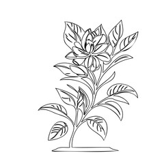 Elegant botanical line art depicting a blossoming flower and foliage design