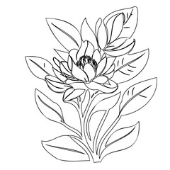 Delicate floral artwork showcasing a lotus blossom and leafy foliage in fine lines