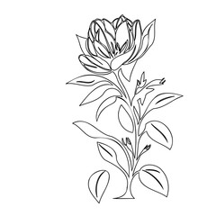Elegant floral drawing, a single line art with simple contour of blossom