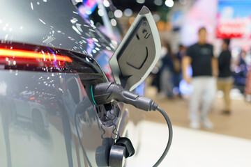 Electric Car Charging Port on a Silver Vehicle