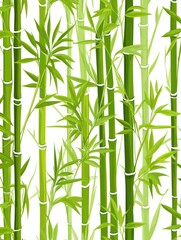 Obraz premium Bamboo pattern on white background