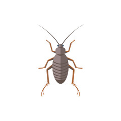 Flat vector illustration of a realistic brown cockroach with detailed legs and antennae, perfect for nature, wildlife, or pest control designs.