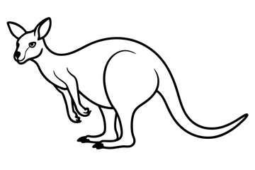 Stylized Kangaroo Vector