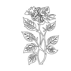 Elegant floral line drawing showcasing a hibiscus in a unique vase arrangement