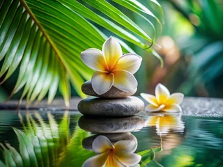Papier peint photo autocollant Zen Serene Spa Setting: Stacked Stones, Frangipani, Palm Leaves & Calm Water - Zen Wellness Stock Photo  © Supittra