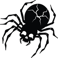 black spider on white background