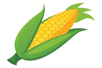 Isolated Fresh Corn Vector Illustration