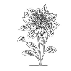 Elegant monochrome flower illustration, showcasing detailed petal and leaf designs