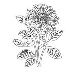 Stylized floral illustration featuring a detailed blossom with outlined petals