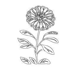 Elegant Line Art: A Solitary Flower Blossom in Stylized Simplicity