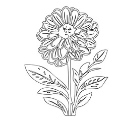 Detailed monochrome floral outline, featuring a bold bloom with leaves