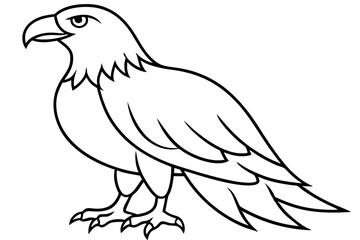 Soaring Eagle Linework