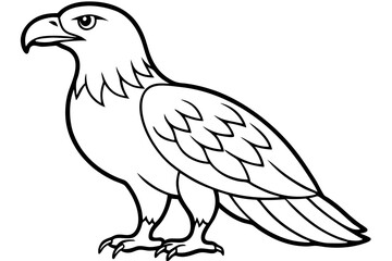 Soaring Eagle Linework