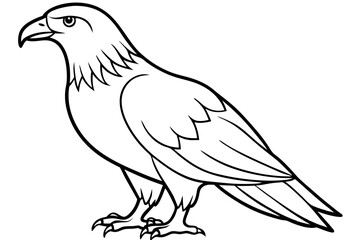 Soaring Eagle Linework