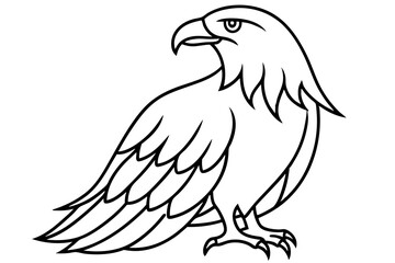 Soaring Eagle Linework