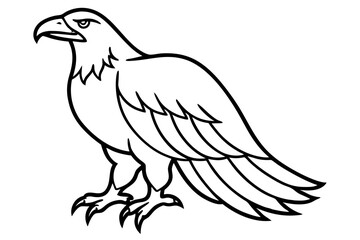 Soaring Eagle Linework