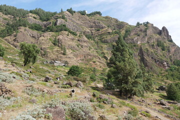 Landschaft auf Santo Antáo in den Kap Verden © Falko Göthel