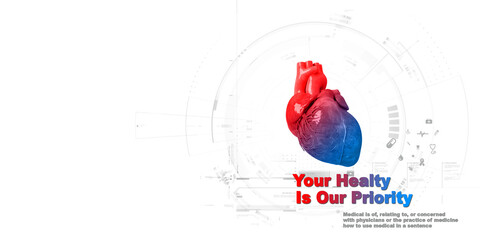 3d illustration  Anatomy of Human Heart 
