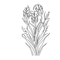 Elegant floral sketch: A minimalist depiction of botanical beauty in linear form