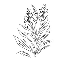 Elegant floral arrangement, intricate line art drawing of botanical composition