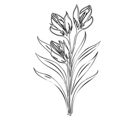 Elegant floral line drawing featuring stylized buds and foliage in monochrome style