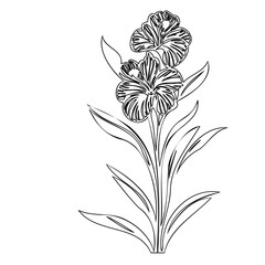 Minimalist botanical illustration of blooming iris plant, featuring intricate line work