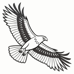 Soaring Eagle Vector Illustration Wildlife Bird Predator Icon Graphic Design
