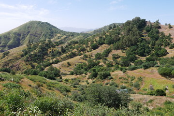 Berge mit Wald auf Santo Antão Kap Verde © Falko Göthel