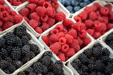 A close up of a variety of berries including blackberries and raspberries