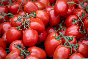 A bunch of red tomatoes are piled on top of each other