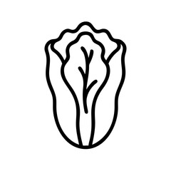 Illustration of a chinese cabbage with detailed leaf veins and a thick outline on a white background