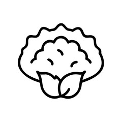 Illustration of a cauliflower head with two leaves in a simple black outline drawing style design