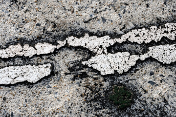 Abstract texture on the grunge floor.