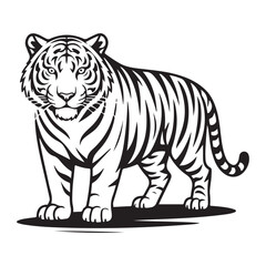 tiger vector illustration